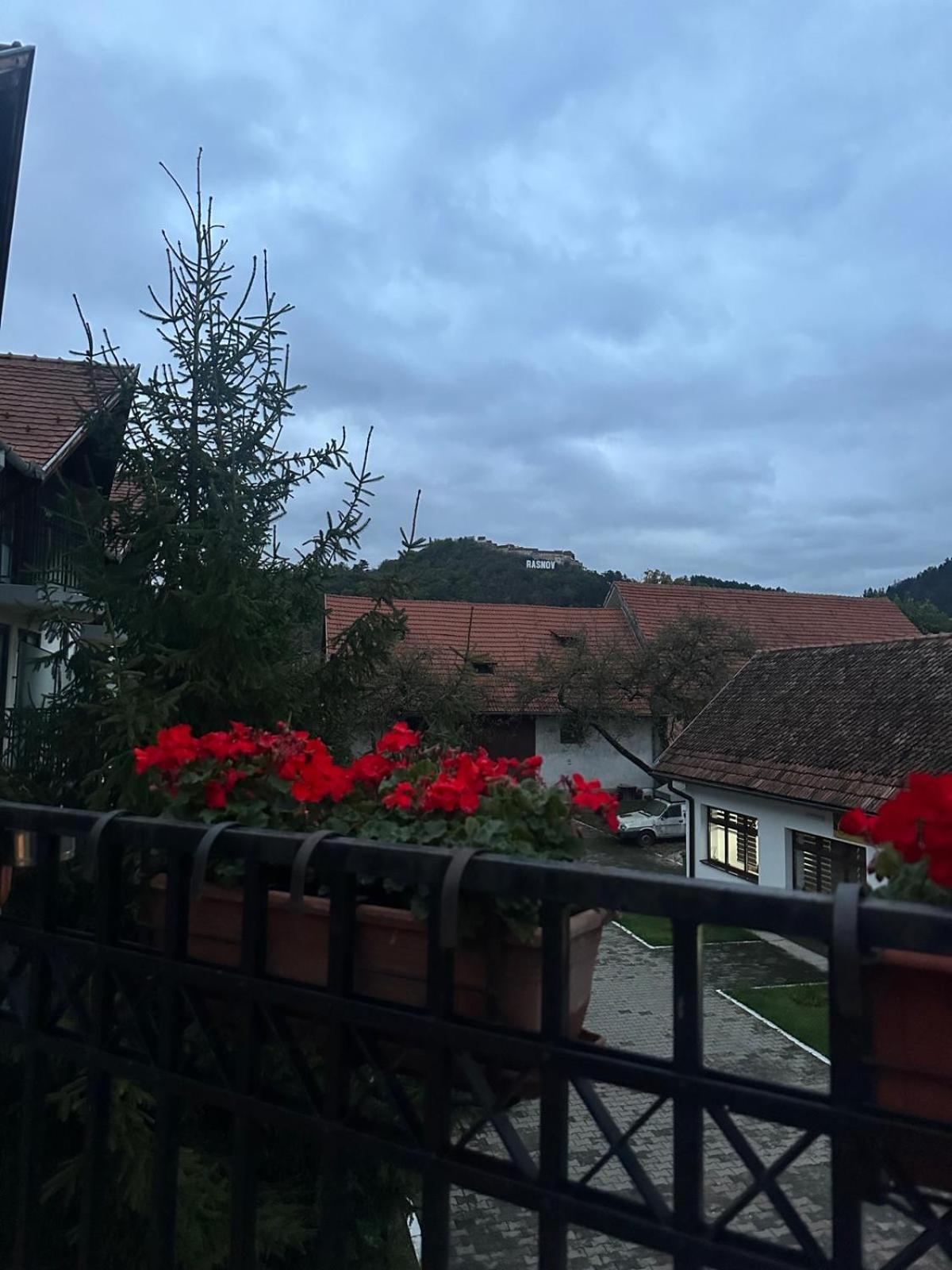 Pensiunea Casa Saxonia Rîşnov Buitenkant foto