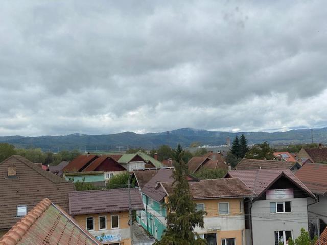 Pensiunea Casa Saxonia Rîşnov Buitenkant foto