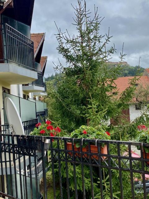 Pensiunea Casa Saxonia Rîşnov Buitenkant foto